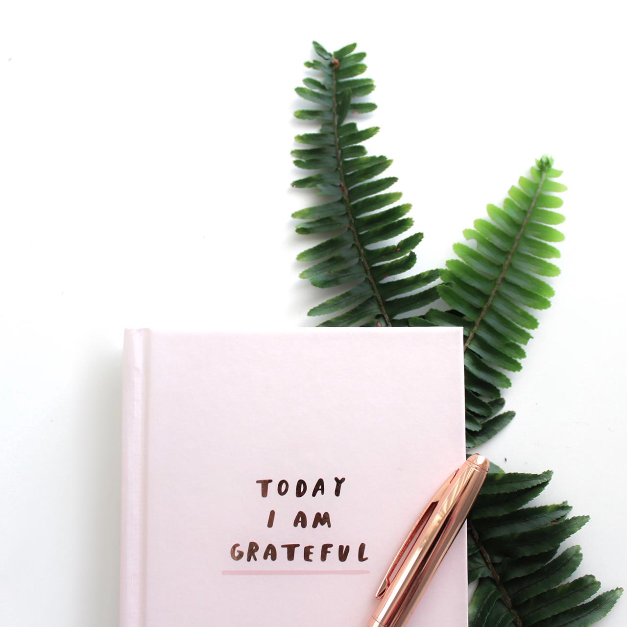 Photo of a pink gratitude journal placed on green foliage